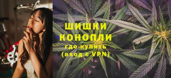 apvp Надым