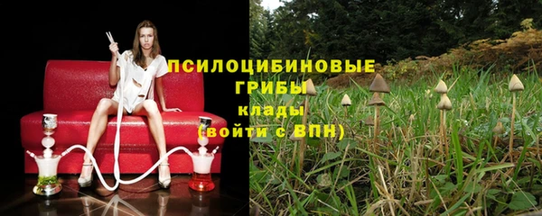 apvp Надым