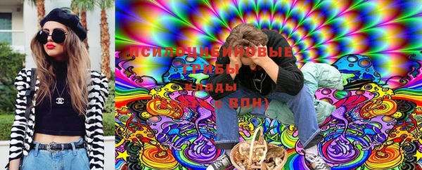apvp Надым