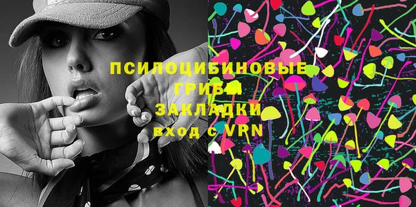 apvp Надым