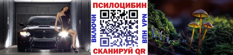 Псилоцибиновые грибы Psilocybine cubensis  Венёв 